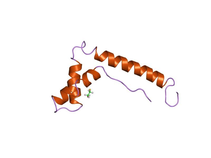 File:PDB 1hsm EBI.jpg