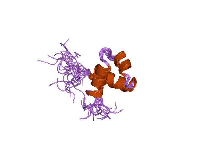 File:PDB 1idz EBI.jpg