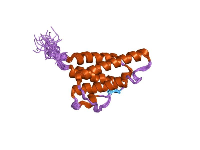 File:PDB 1iti EBI.jpg