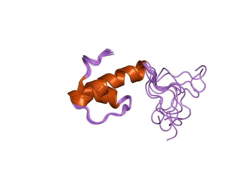 File:PDB 1jei EBI.jpg