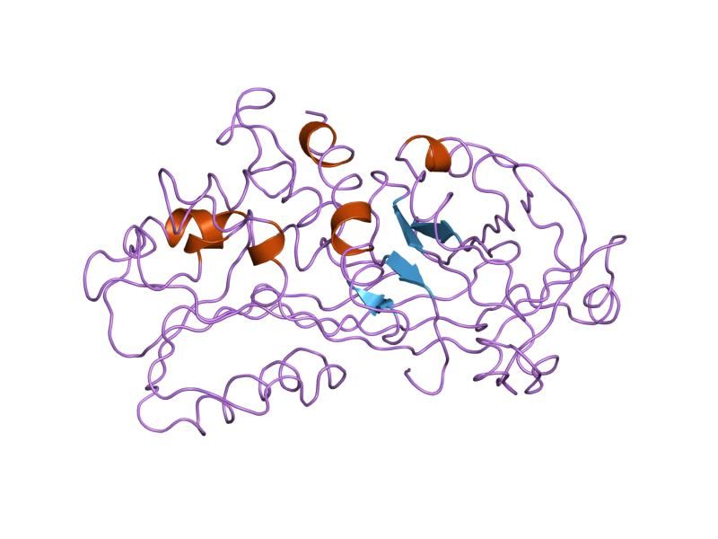 File:PDB 1kct EBI.jpg