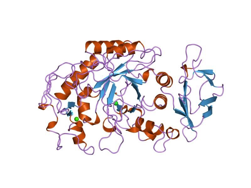 File:PDB 1smd EBI.jpg