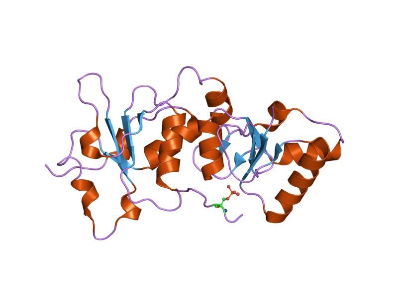 File:PDB 1t15 EBI.jpg