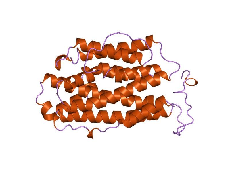 File:PDB 1xsm EBI.jpg