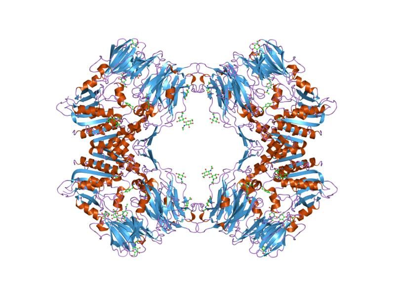 File:PDB 2ajc EBI.jpg