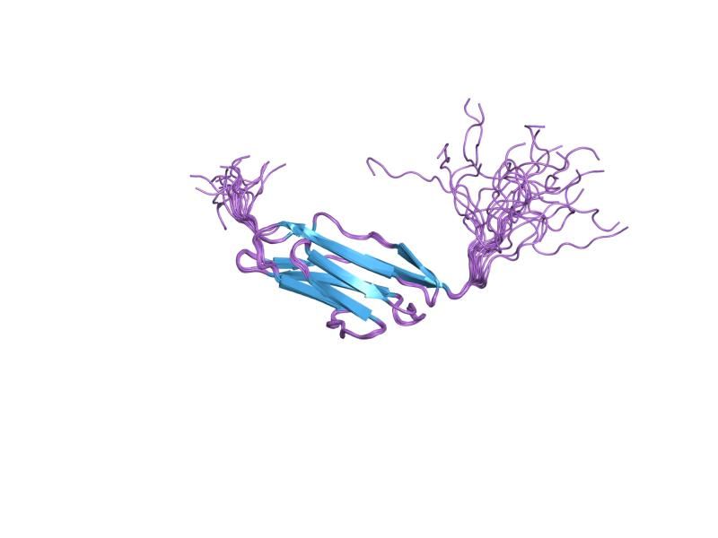 File:PDB 2cqv EBI.jpg