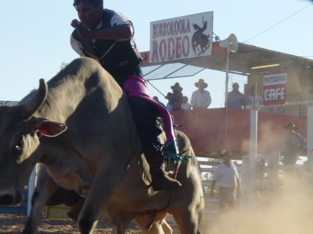 File:BorroloolaRodeo.jpg