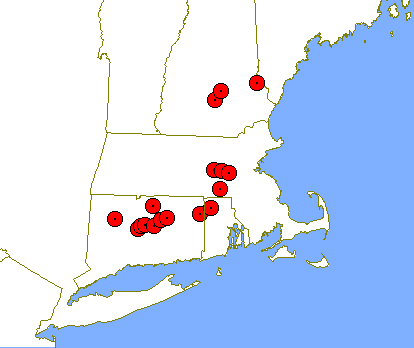 File:Four-State Tornado Swarm.PNG