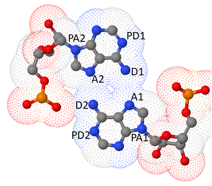 File:Non-canonical base pairing Fig3.png