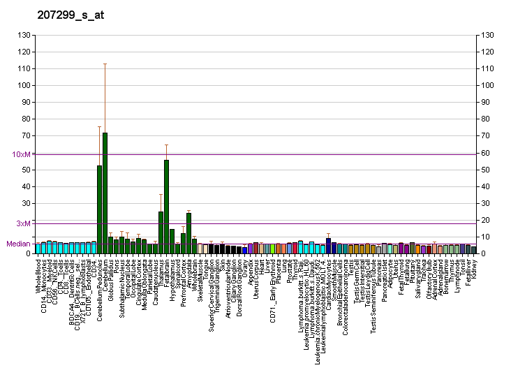 File:PBB GE GRM1 207299 s at fs.png