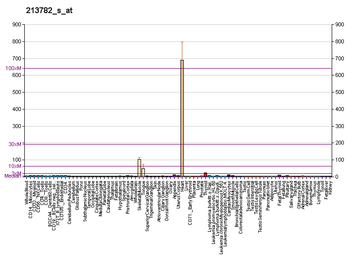 File:PBB GE MYOZ2 213782 s at fs.png