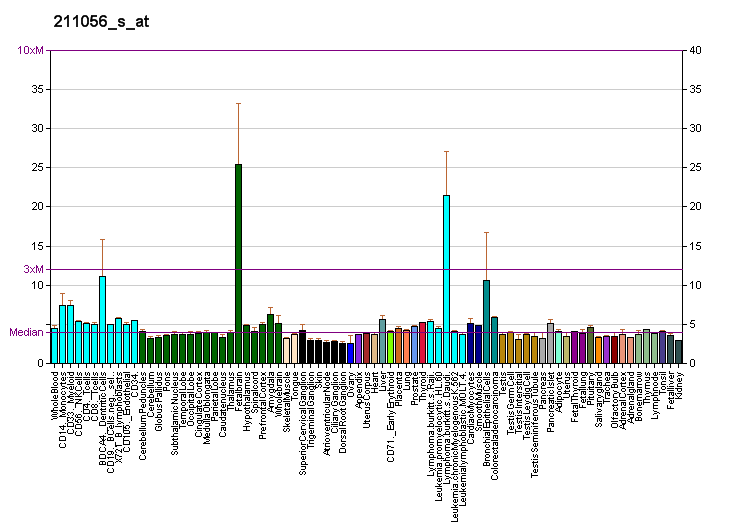 File:PBB GE SRD5A1 211056 s at fs.png