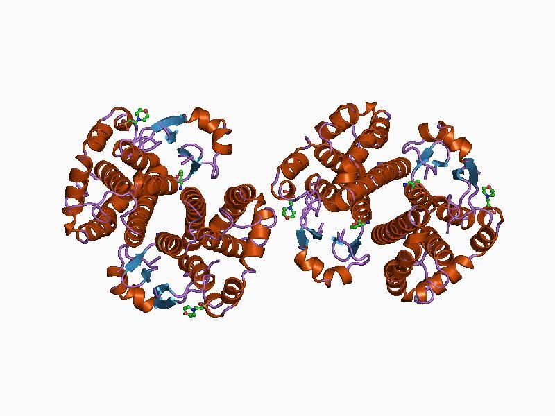 File:PDB 1aqw EBI.jpg