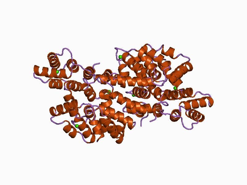 File:PDB 1avc EBI.jpg