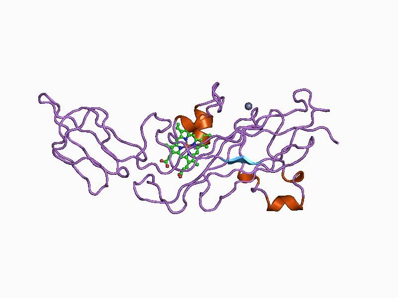 File:PDB 1ci3 EBI.jpg