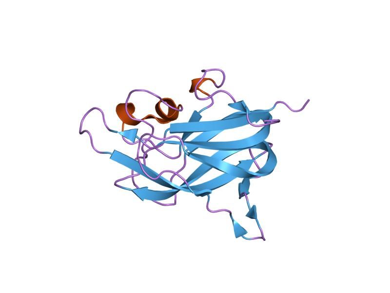 File:PDB 1kex EBI.jpg