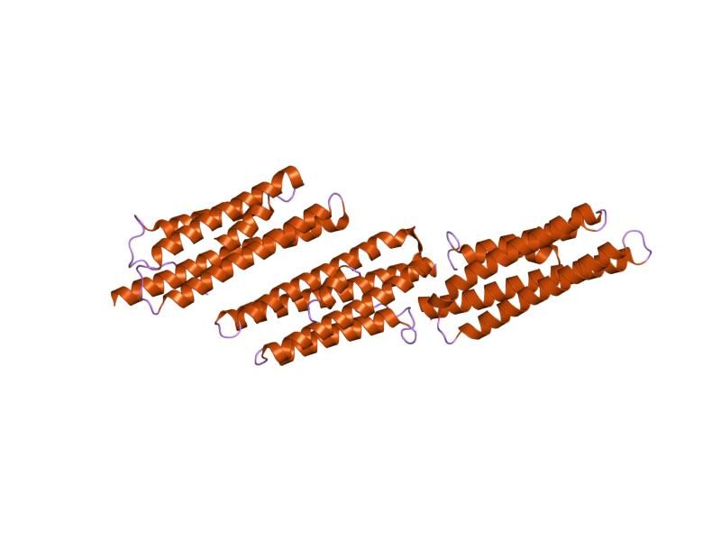 File:PDB 1ow7 EBI.jpg