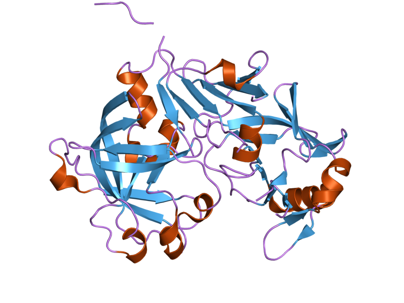 File:PDB 1tzs EBI.png