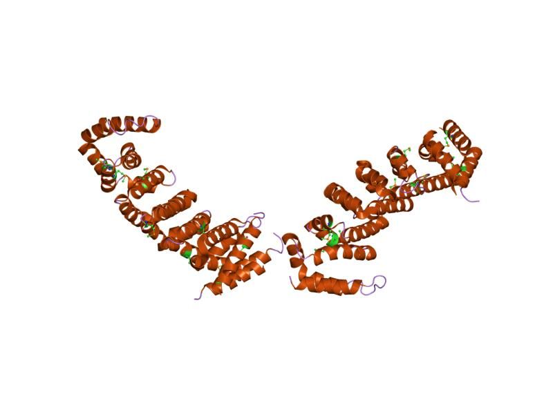 File:PDB 1upl EBI.jpg