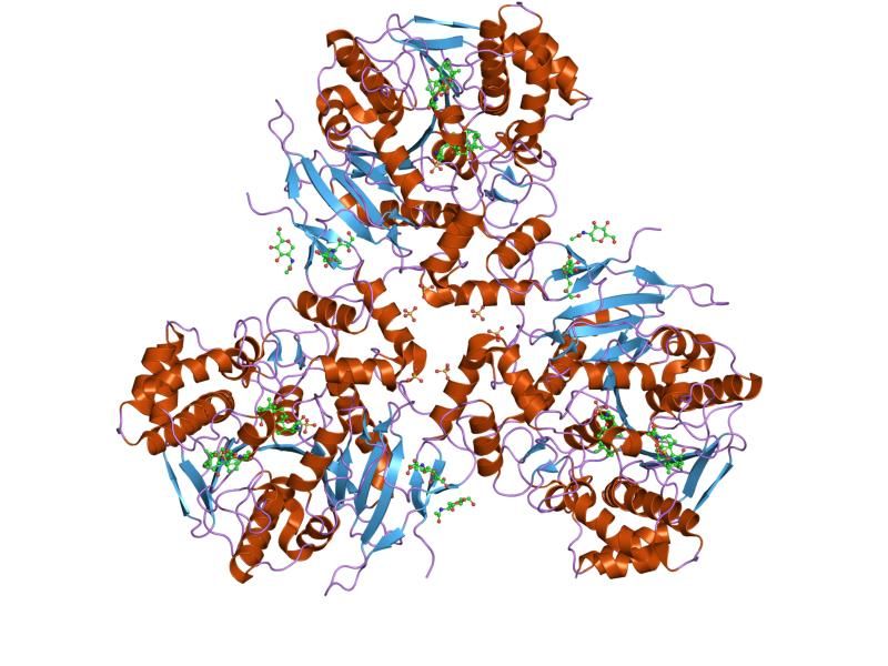 File:PDB 2dr0 EBI.jpg