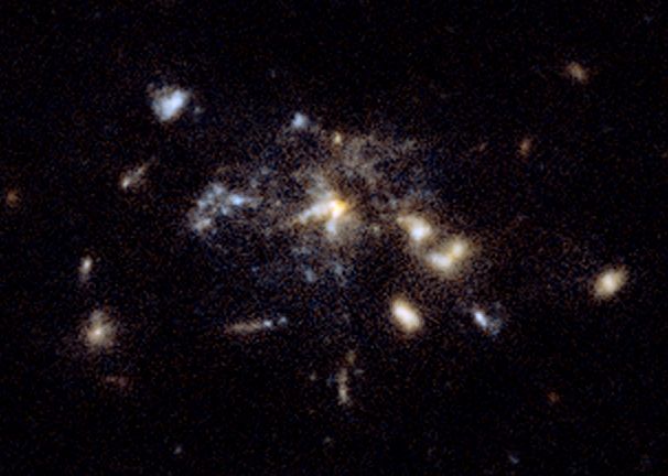 File:Spiderweb galaxy (MRC 1138-262) Hubble.jpg