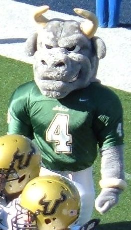 File:USF Rocky.jpg