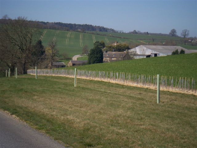 File:Blenheim Farm - geograph.org.uk - 389087.jpg