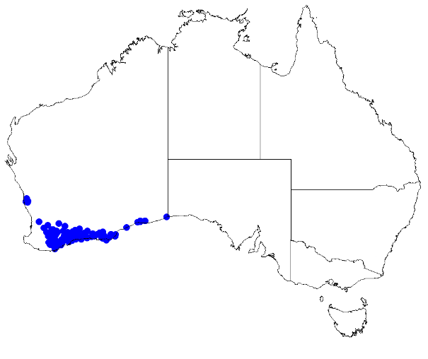 File:Boronia crassifolia DistMap25.png