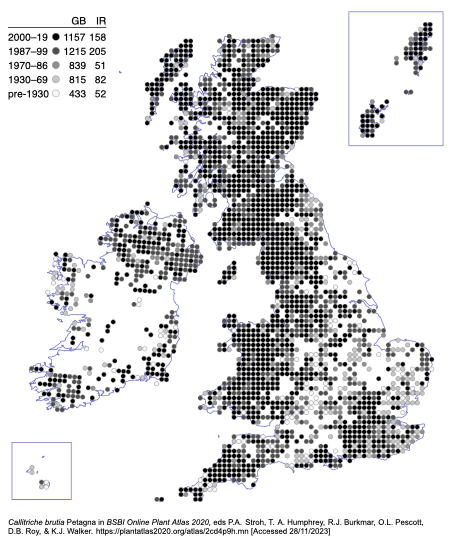 File:Callitriche brutia-map.png