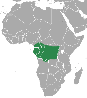 File:Cameroon Clawless Otter area.png