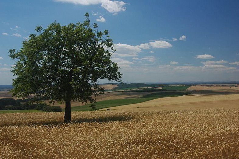 File:Chvojnica hills near Unin.jpg