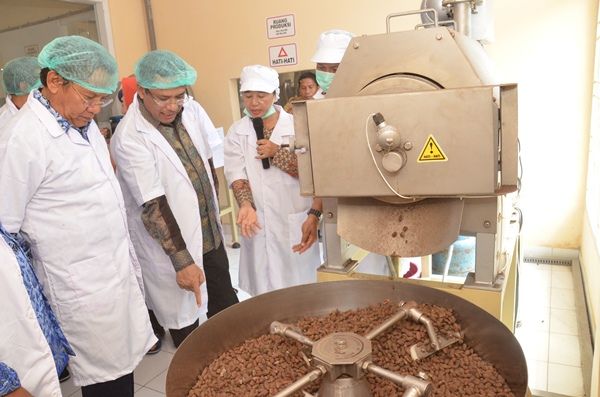 File:Cocoa processing factory in Palu.jpg