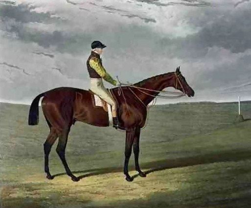 File:Frederick, Derby winner.jpg