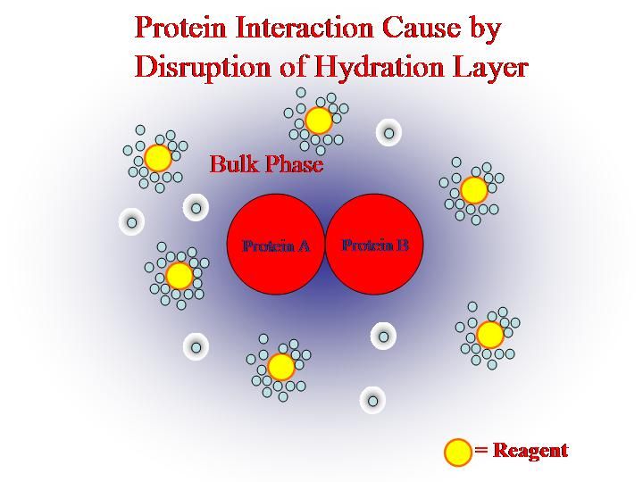 File:HydrationLayer2New.jpg