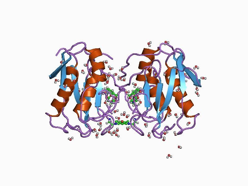 File:PDB 1cgl EBI.jpg