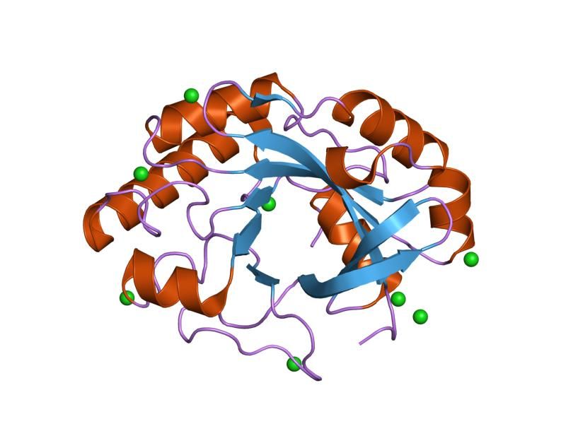 File:PDB 1jfx EBI.jpg