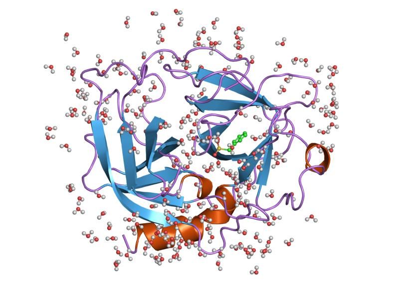 File:PDB 1klt EBI.jpg