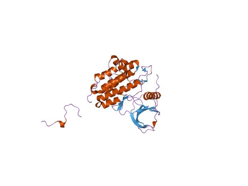 File:PDB 1m14 EBI.jpg