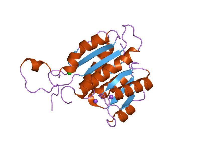 File:PDB 1so8 EBI.jpg