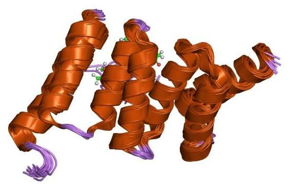 File:PDB 2bug EBI.jpg