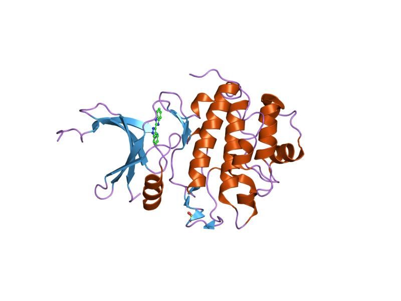 File:PDB 2c3l EBI.jpg