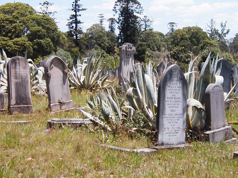 File:Rookwood agaves.jpg