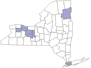 File:Scleria verticillata NY-dist-map.png