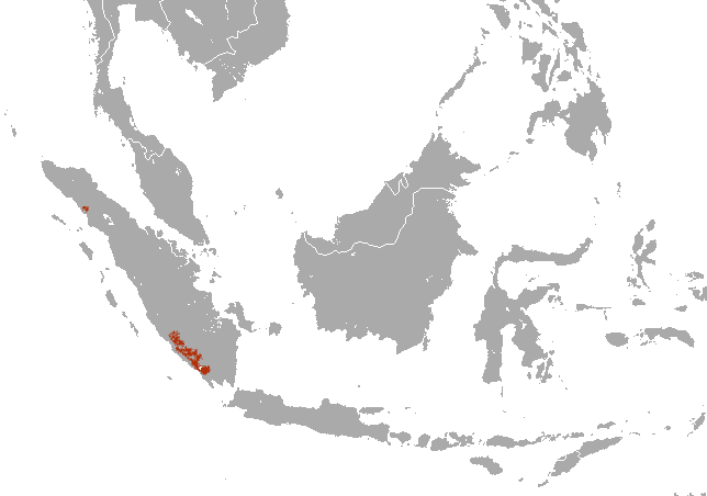 File:Sumatran Striped Rabbit area.png