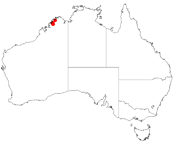 File:Acacia barrettiorumDistMap101.png