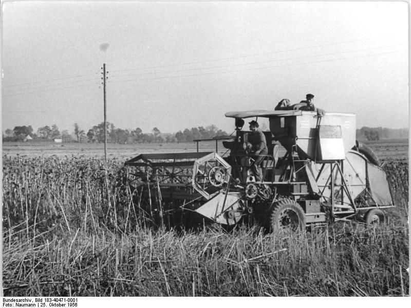 File:Bundesarchiv Bild 183-40471-0001, Brodau, Sonnenblumenernte mit Mähdrescher.jpg