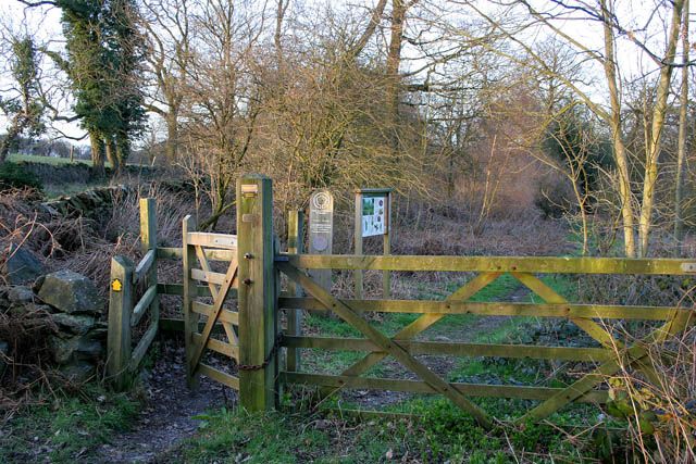 File:Burrow Wood - geograph.org.uk - 350279.jpg