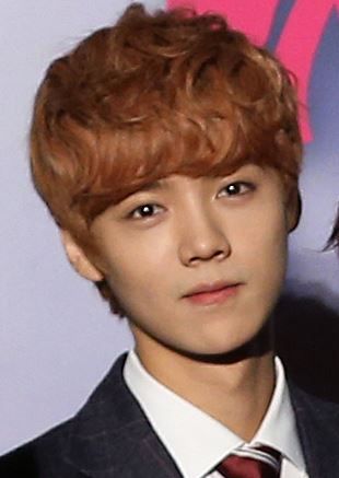 File:EXO Luhan.JPG