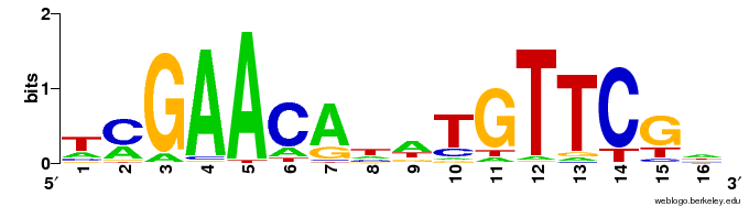 File:LexA gram positive bacteria sequence logo.png