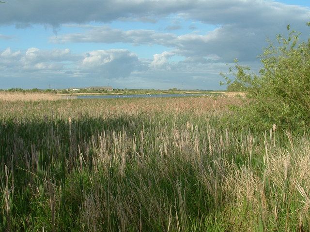 File:Marton Mere - geograph.org.uk - 178027.jpg